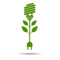 Green eco energy concept, plant growing inside light bulb. Royalty Free Stock Photo