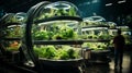 Green eco-friendly hydroponic farm for growing greens and plants Royalty Free Stock Photo