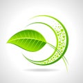 Green eco friendly icon with leaf Royalty Free Stock Photo