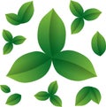 Green eco friendly leaves