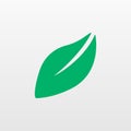 Green Eco Leaf icon isolated on background. Modern Royalty Free Stock Photo