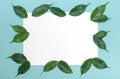 Green eco leaves, for writing, design on a blue background