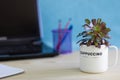Green eco office concept, succulent plant in recycled coffee mug on desk, office plants reduce stress, increase creativity
