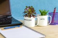 Green eco office concept, house plants in recycled coffee mugs on desk, office plants reduce stress