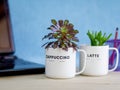 Green eco office concept, succulent house plants in recycled coffee mugs on desk, office plants reduce stress, increase creativity