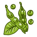 Green eco soybean icon, hand drawn style