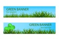 Green ecological banner with green grass and blue sky