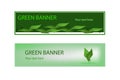 Green ecological banner with green leaves