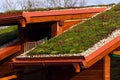 Green living roof on wooden building covered with vegetation Royalty Free Stock Photo