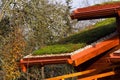 Green living roof on wooden building covered with vegetation Royalty Free Stock Photo