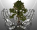 Green ecological tree in glass hands on grey back