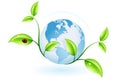 Green ecology