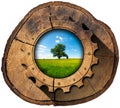 Green Economy - Tree Trunk and Gear
