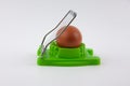 Green egg cutter with a boiled egg Royalty Free Stock Photo