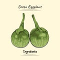 Illustration sketch and vector style of green eggplant. Good to use for restaurant menu, Food recipe book, and food ingredients