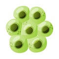 Green Eggs of Frog or Frogspawn Cluster Vector Illustration