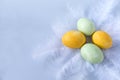 2 green eggs, 2 yellow eggs, Easter eggs on white feathers on blue background, 4 Easter eggs Royalty Free Stock Photo