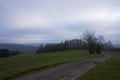 Green Eifel landscape photographed on a gray day Royalty Free Stock Photo