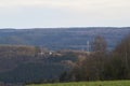 Green Eifel landscape photographed on a gray January day Royalty Free Stock Photo