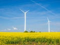 Green electricity yellow Rapeseed field Royalty Free Stock Photo