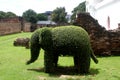 Green elephant