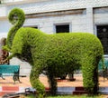 Green Elephant Statue Using Plants