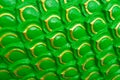Green Emerald fish scale texture Royalty Free Stock Photo