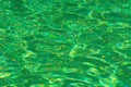 Green emerald water surface in swimming pool