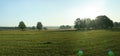 Green empty field with trees and lens flare Royalty Free Stock Photo