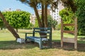 Wooden bench under tree in city park Royalty Free Stock Photo