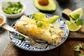 Green enchiladas casserole in a baking dish Royalty Free Stock Photo