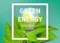 Green energy background. Eco light bulb, green leaves. Eco friendly vector ad banner. Realistic light bulb illustration