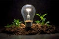 Green Energy and a Bright Future, New Ideas for Sustainable Solutions, A Light Bulb in Soil