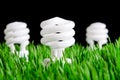 Green Energy Bulbs - Environmental Concept