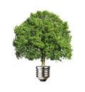 Green energy concept Royalty Free Stock Photo