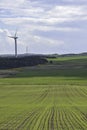 Green energy concept. Crop lines in field leading to wind turbine and power lines