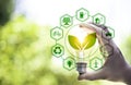 green energy concept help reduce global warming..Hand holding natural background light bulb on green leaf with clean energy icon Royalty Free Stock Photo