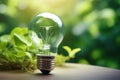 Green energy concept. Light bulb with soil and green plant sprout inside. Ecology and environment sustainable resources Royalty Free Stock Photo