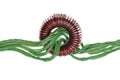 Green energy, copper cable with coil
