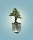 Green energy eco concept, Royalty Free Stock Photo
