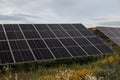 Green Energy Farm: Sunlit Solar Panels on Metal Structure