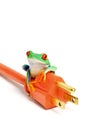 Green energy - frog on power plug isolated Royalty Free Stock Photo