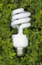 Green Energy Saving Light Bulb Royalty Free Stock Photo