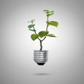 Green energy symbols ecology light bulb Royalty Free Stock Photo