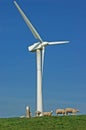 Green energy windmill sheep Royalty Free Stock Photo
