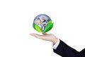 Green and environmental business, saving the world. Businessman hand holding globe with leaves, isolated on white background. Elem Royalty Free Stock Photo