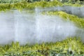 Green epidote crystals in quartz vein Royalty Free Stock Photo