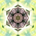 Green eternal lightning Illustration abstract kaleidoscope art wallpaper design and background