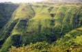 Green ethiopia