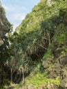 Green and exotic vegetation, Haad Yao beach, Trang, Thailand